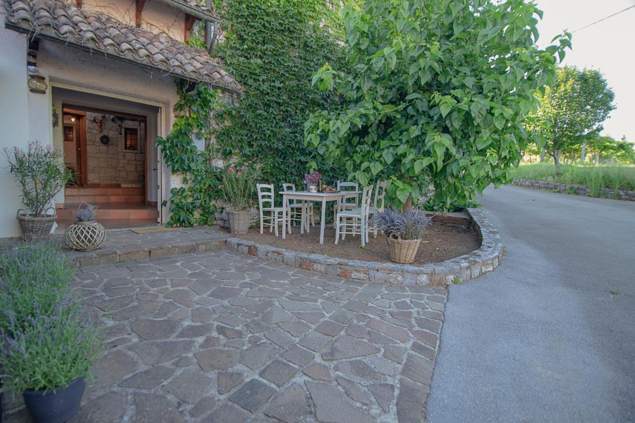 Apartment Ana - Karst Cycling Paradise Dutovlje Экстерьер фото