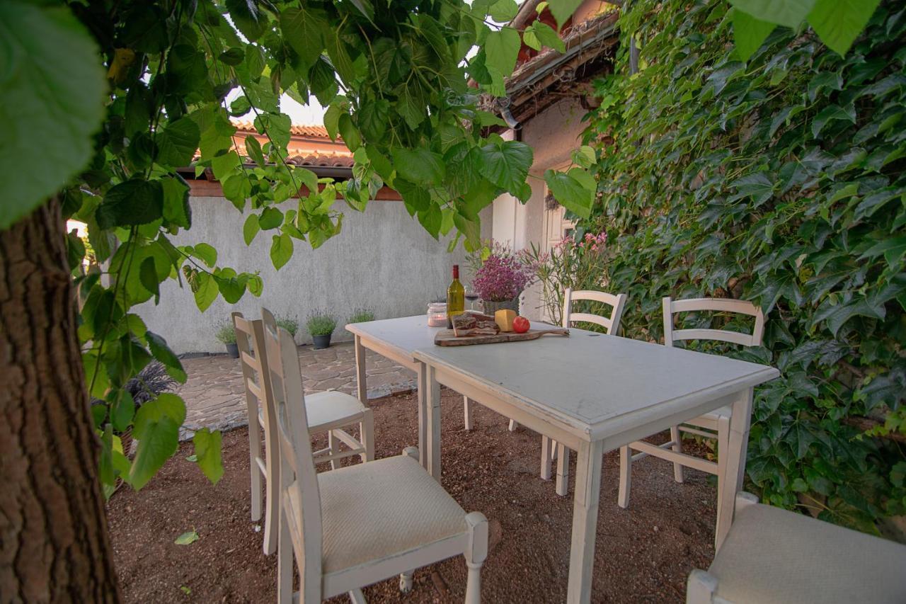 Apartment Ana - Karst Cycling Paradise Dutovlje Экстерьер фото