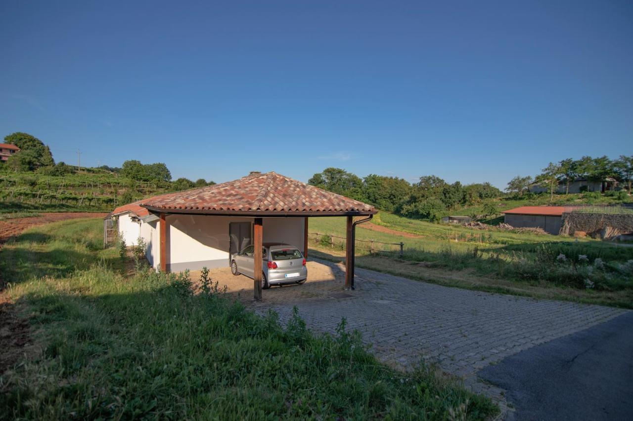 Apartment Ana - Karst Cycling Paradise Dutovlje Экстерьер фото