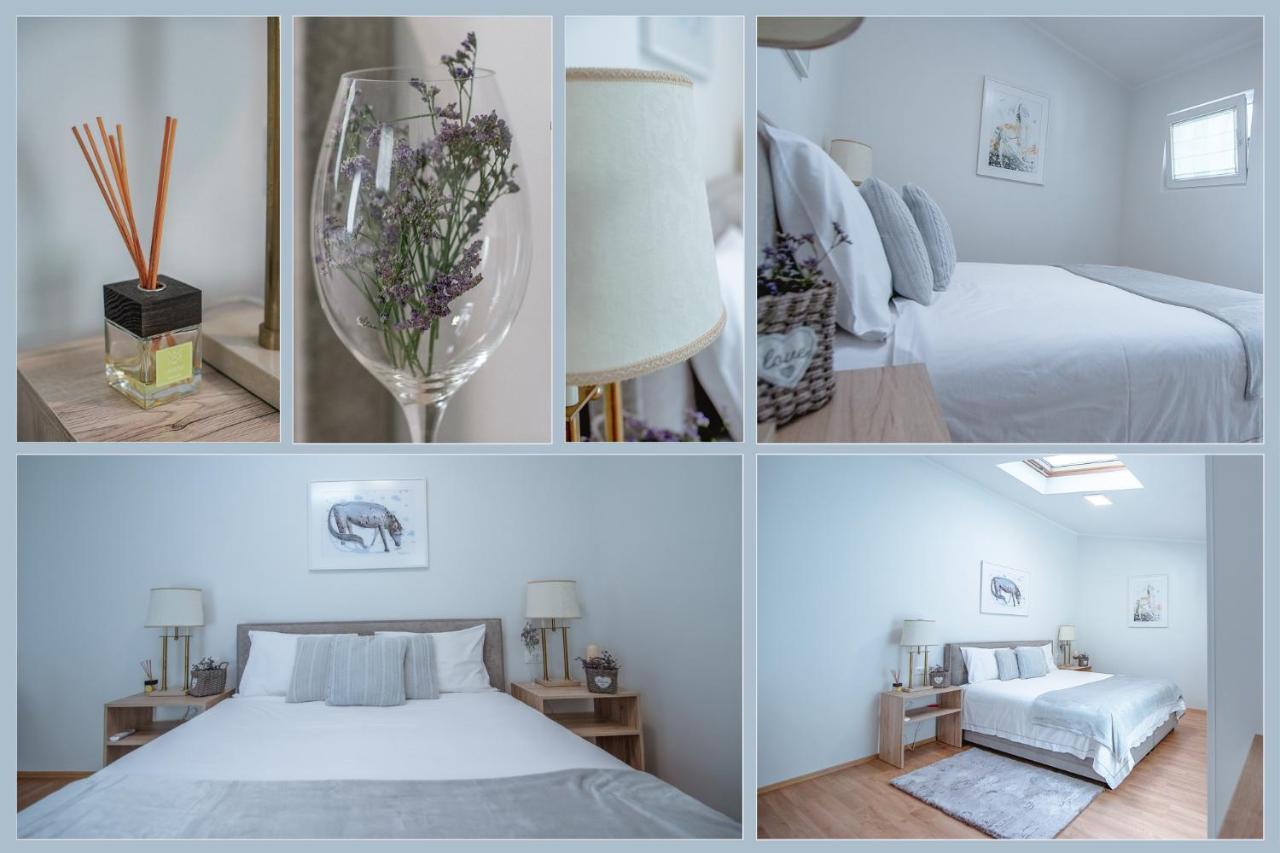 Apartment Ana - Karst Cycling Paradise Dutovlje Экстерьер фото