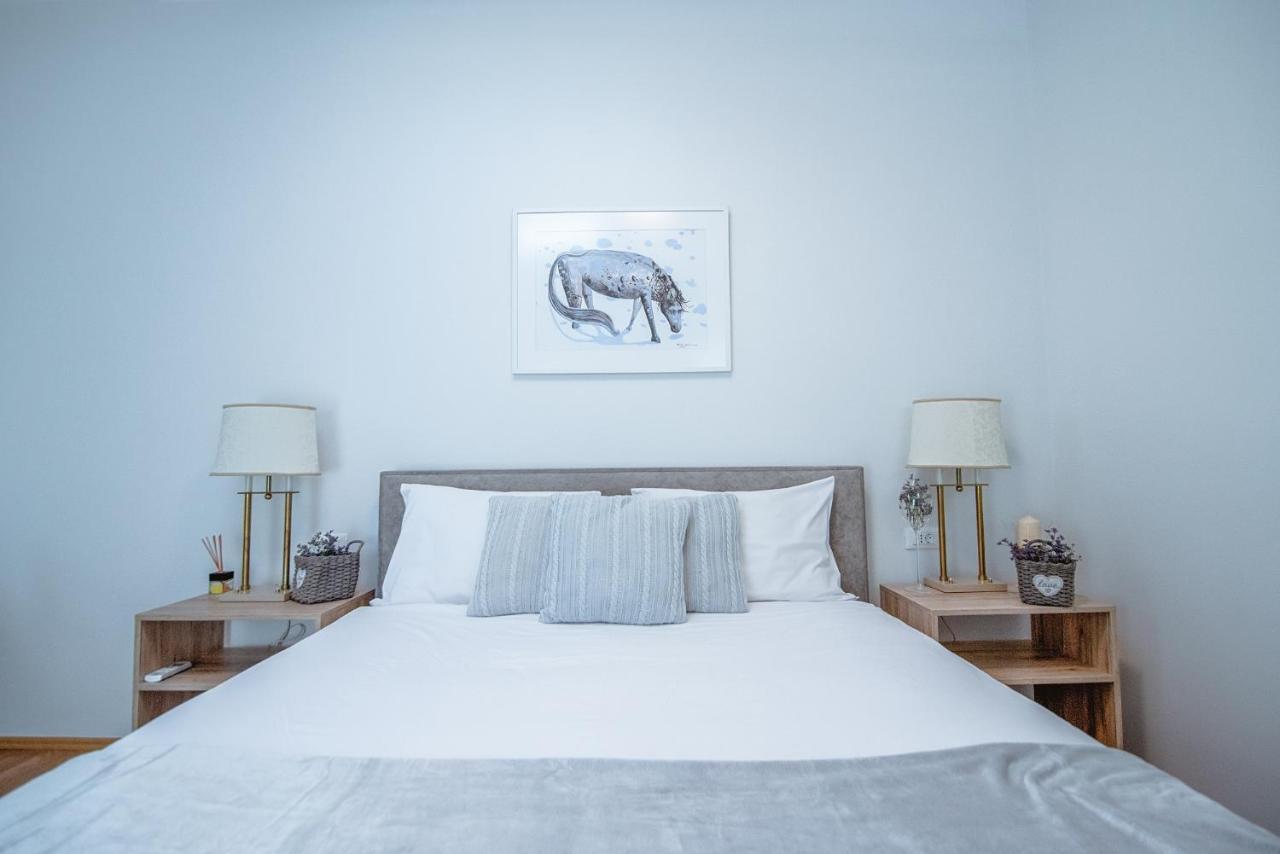 Apartment Ana - Karst Cycling Paradise Dutovlje Экстерьер фото